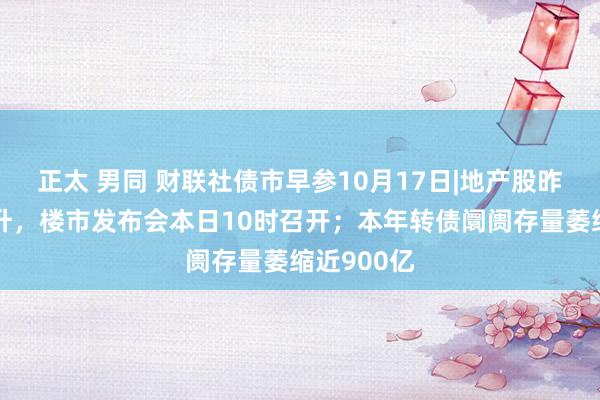 正太 男同 财联社债市早参10月17日|地产股昨日集体飙升，楼市发布会本日10时召开；本年转债阛阓存量萎缩近900亿