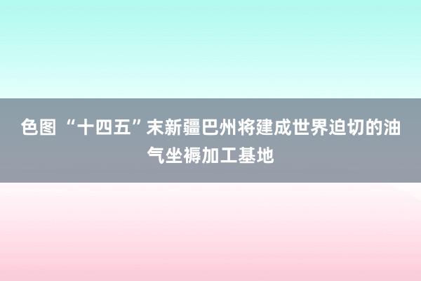 色图 “十四五”末新疆巴州将建成世界迫切的油气坐褥加工基地