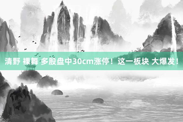 清野 裸舞 多股盘中30cm涨停！这一板块 大爆发！