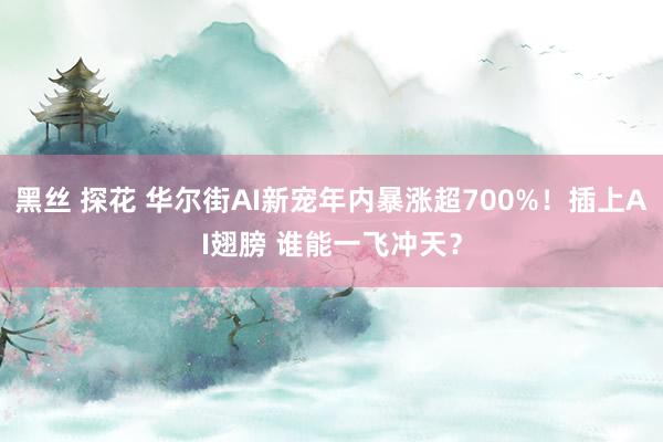 黑丝 探花 华尔街AI新宠年内暴涨超700%！插上AI翅膀 谁能一飞冲天？